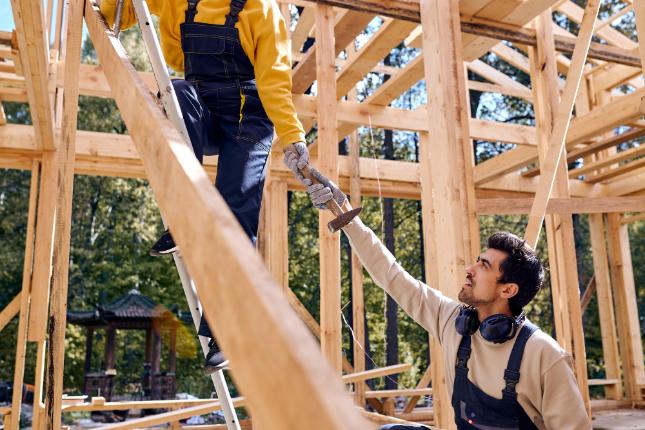 Treehouse Installation in Swansea  